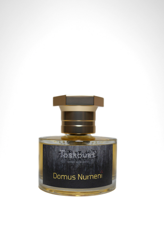 Domus Numeni (EX- Take Me To Church) - 3 Year Anniversary COMING SOON - Limited Edition 300 PCS + Travel GIVEAWAY
